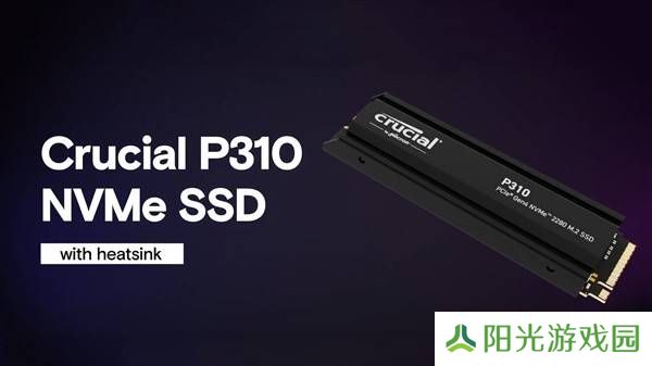 英睿达P310 SSD升级散热片，PCIe 4.0加持，价格亲民性能如何？