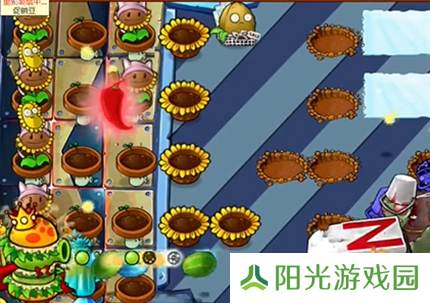 pvz杂交版英雄模式全息大脑的秘密过关攻略